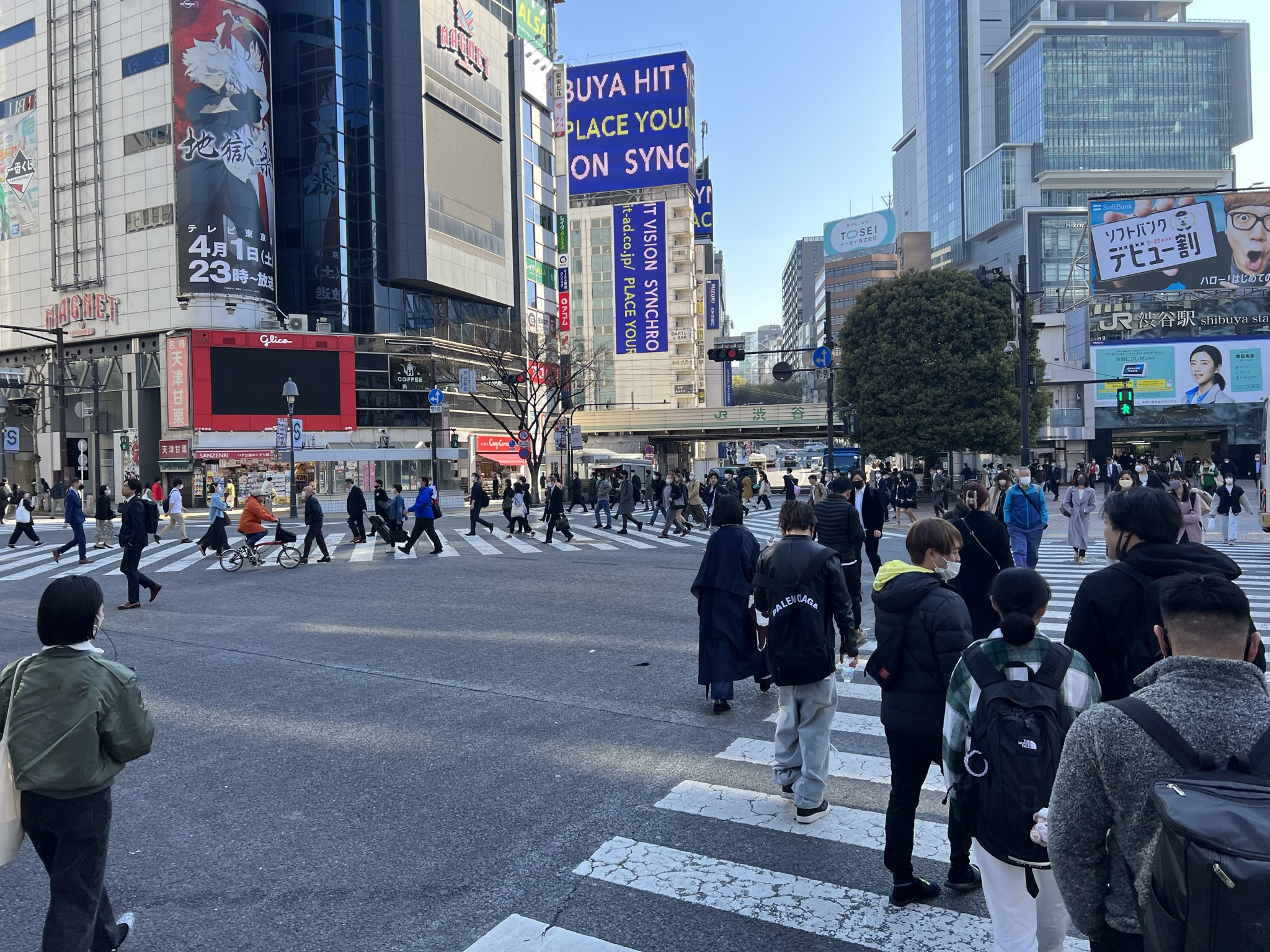 Famous Shibuya Pedestrian Crossing