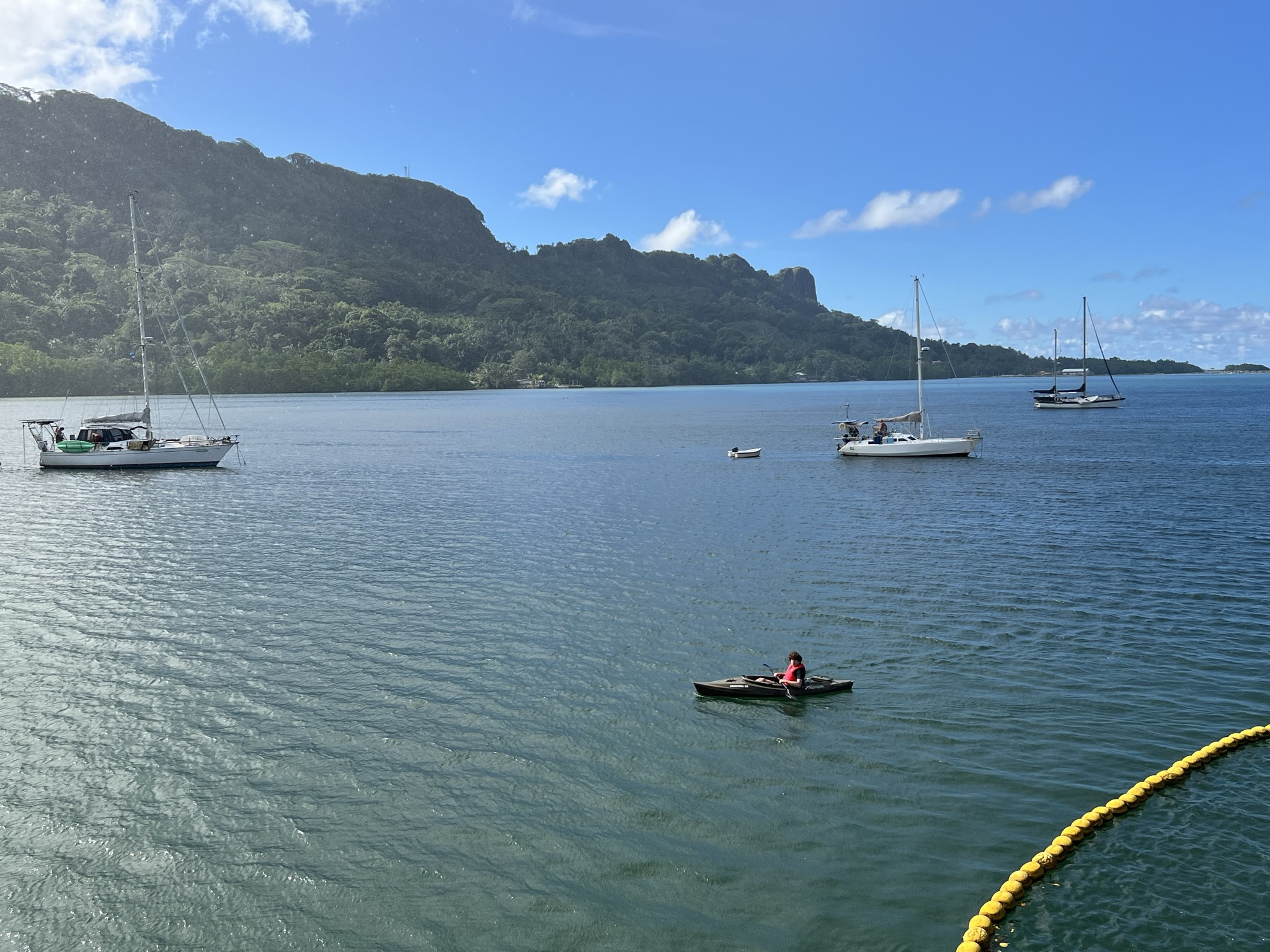 Kayaking in Mangrove Bay