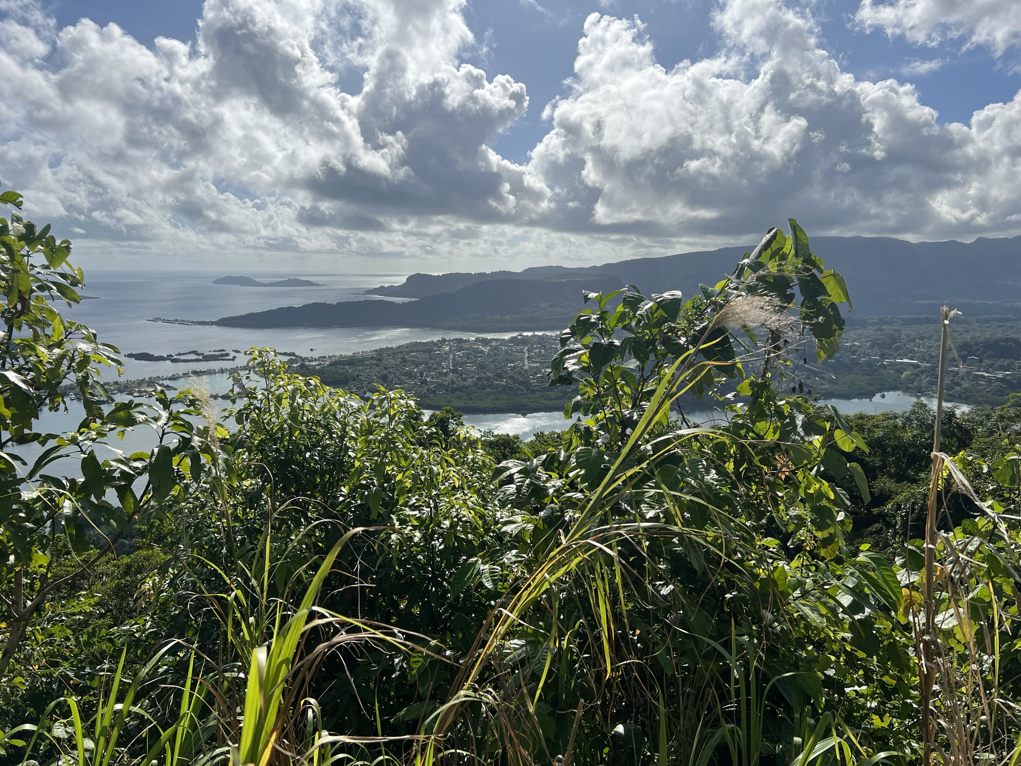 Panoramic Sokehs Ridge Vista