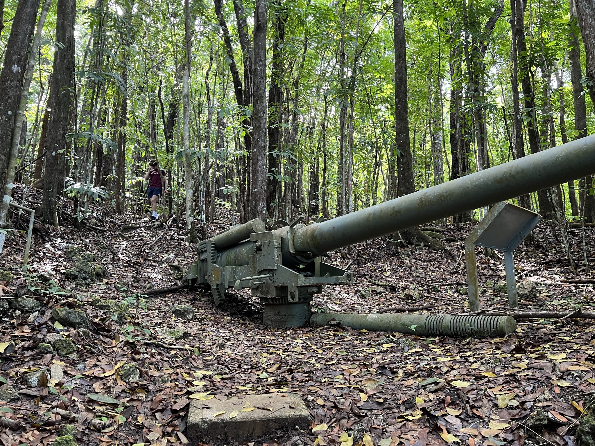 Piti War Guns