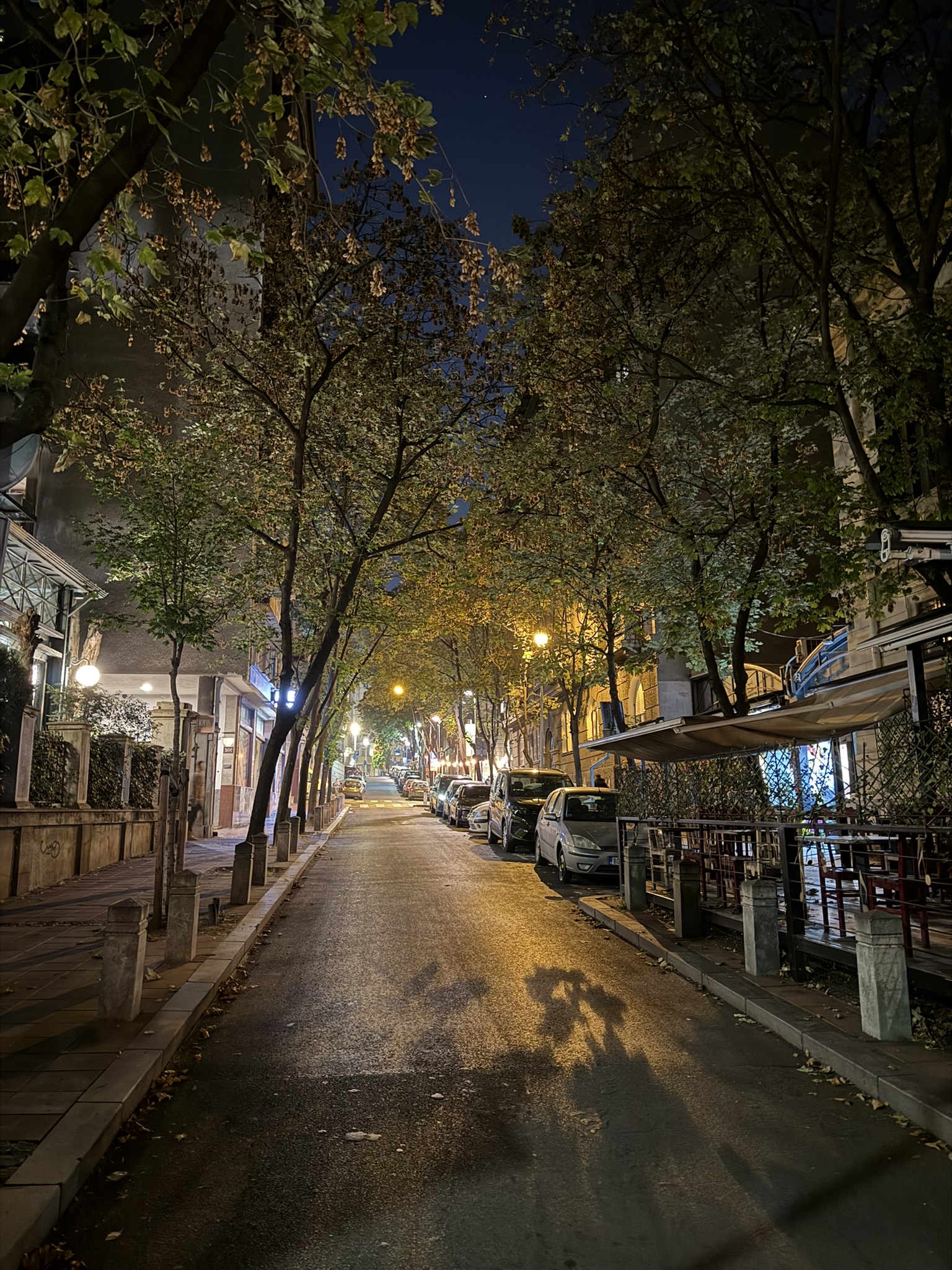Evening Walk Through Belgrade